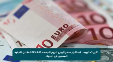 تغيرات كبيرة.. استقرار سعر اليورو اليوم الجمعة 19-9-2025 مقابل الجنيه المصري في البنوك